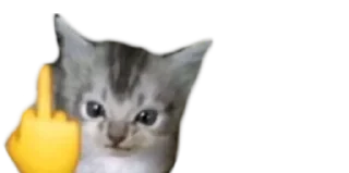 😠