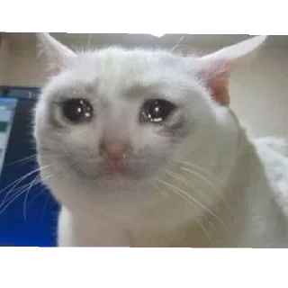 @por6n