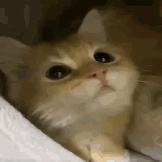😳