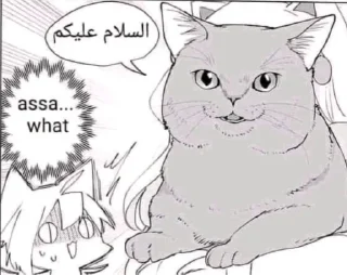 😼