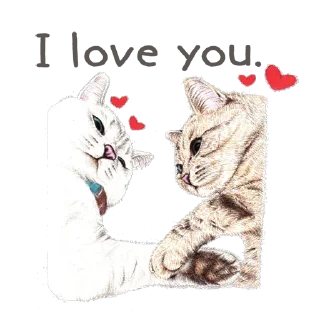 😍