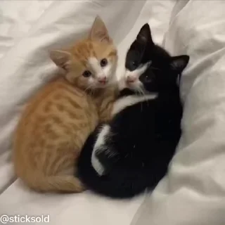 ❤️