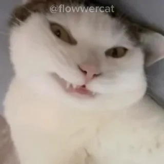 😒