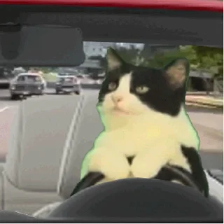 🚘