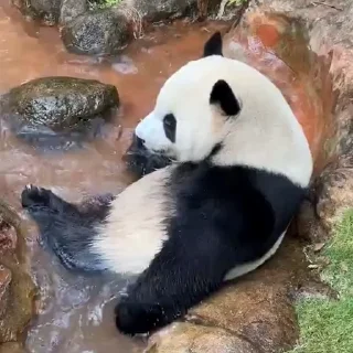 🥱
