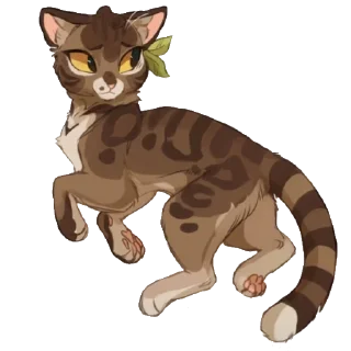 🐱