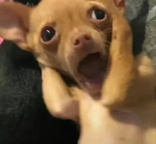😬