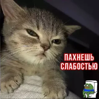 📉