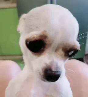 🌟
