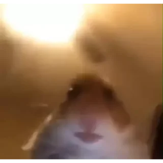 🥺