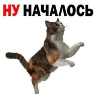😄