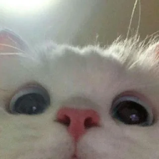 🙃