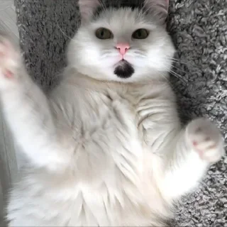 🤗