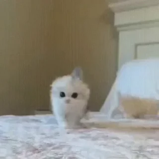 🥺
