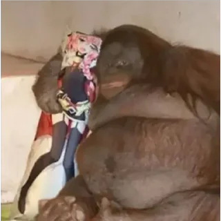🦧