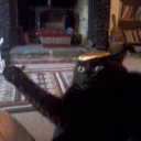 Broken Cats 2
