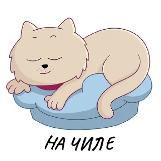 😴