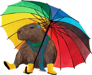 🌂