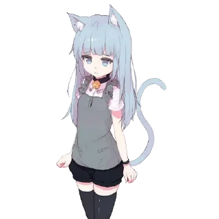 🐱