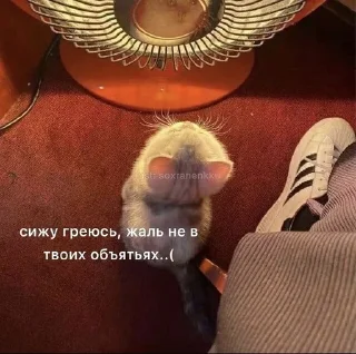 🇺🇦