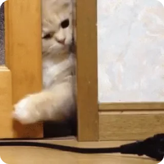 😶