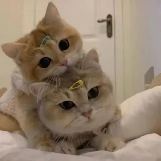 ❤️