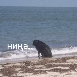 ❔