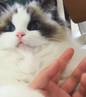 😙