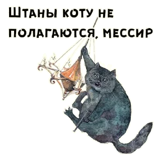 🐱