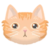 Chonky Orenji Mood