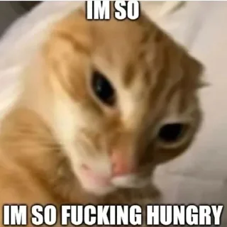 😵‍💫