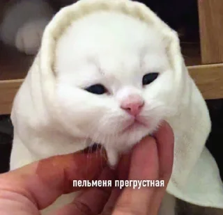 🥟