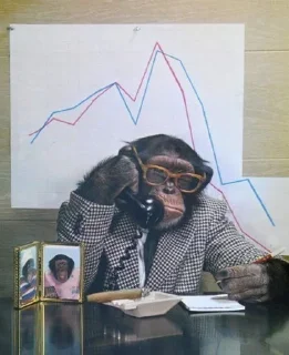 📈