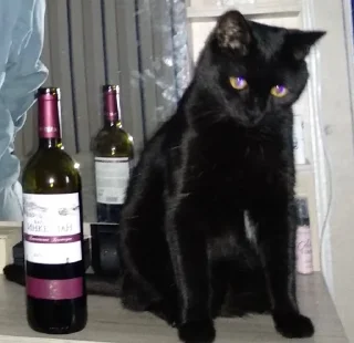 🍷