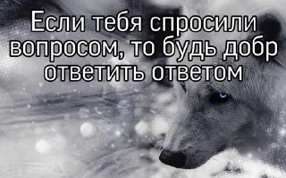 🐺