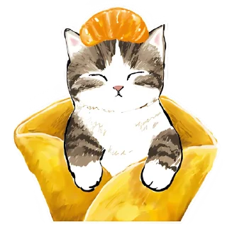 🍊