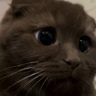 👀
