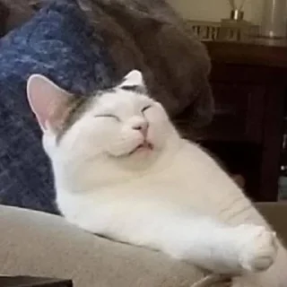 😅