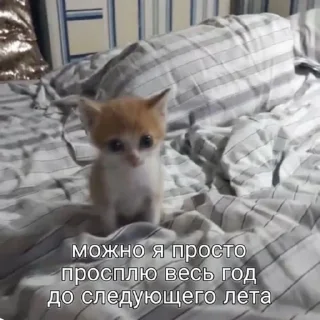 🤨