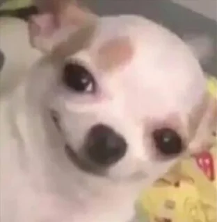 😏