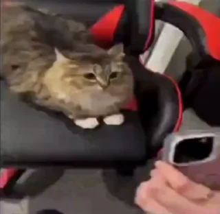 😨