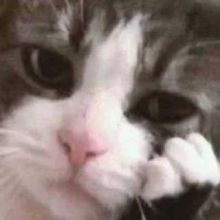 😕