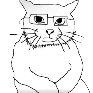 😺