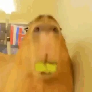 😚