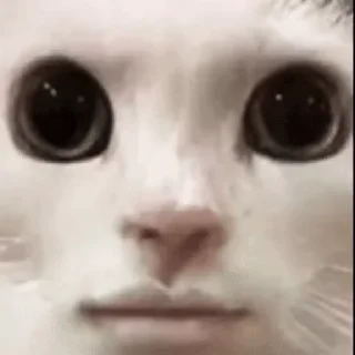 😖