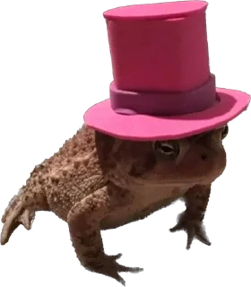 🎩