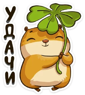 🍀