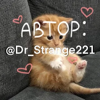 😽