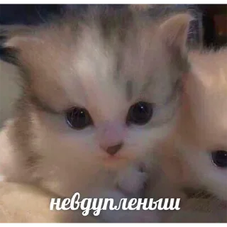 😕