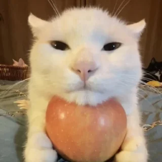 🍏